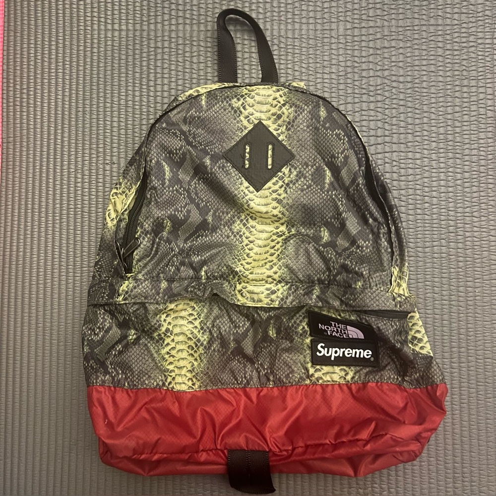 Supreme The North Face Snakeskin Lightweight Day Pack